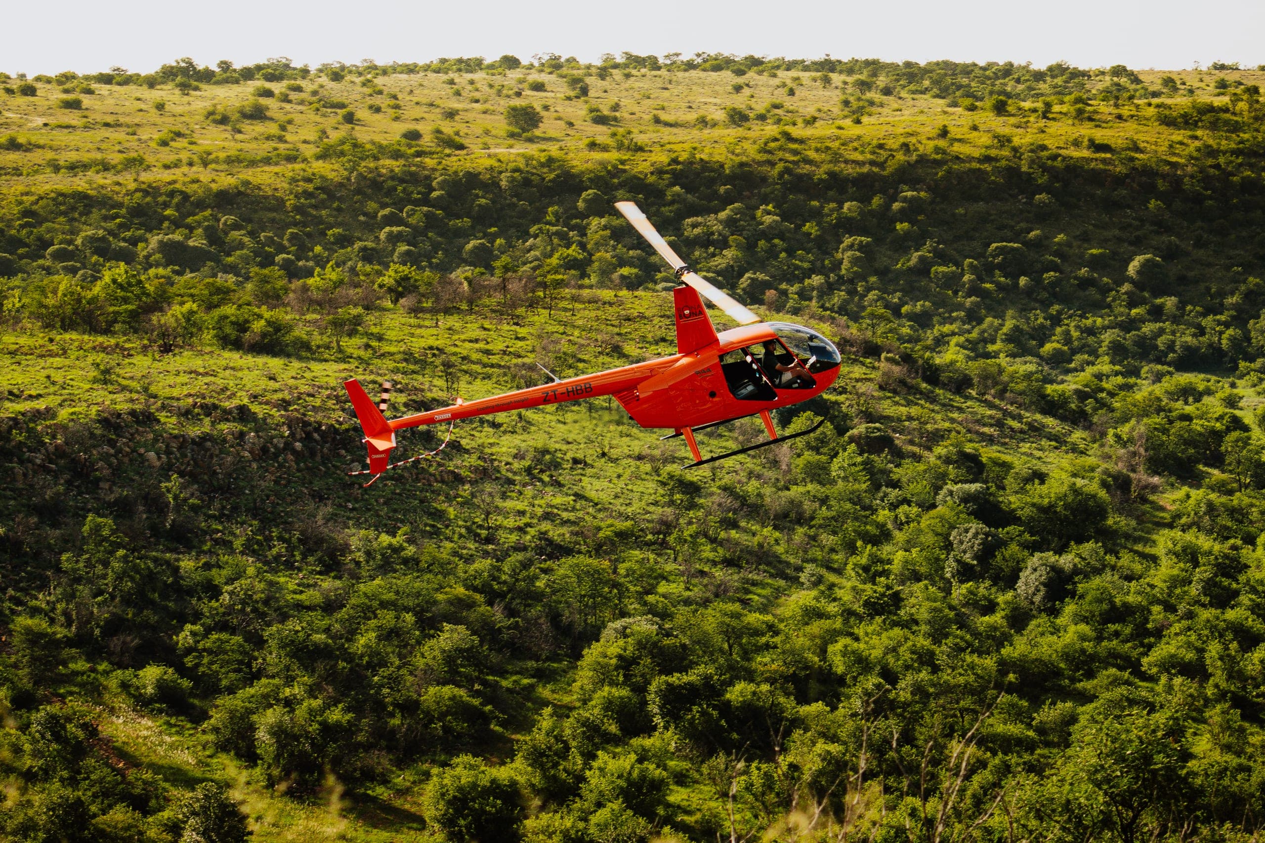 A red helicopter flying low over green bushveld